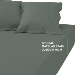 Drap-housse grand bonnet XL Coton Tertio - Lichen