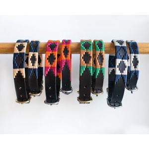 Collier pour chien HFI Polo