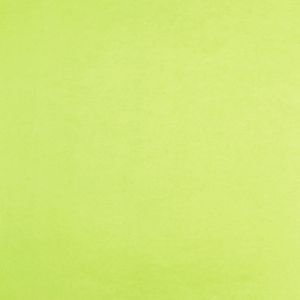 Image de Clairefontaine 393719C - Sachet de 8 feuilles pliées de papier de soie, 18 g/m², 50 x 75cm, coloris vert pomme