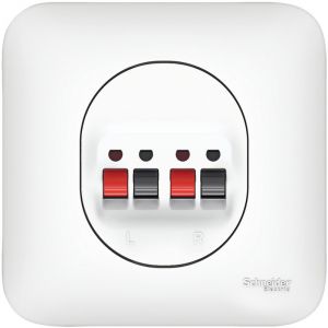 Schneider Electric Prise HP Schneider Ovalis 2 Sorties + Plaque (Merlin Gerin)