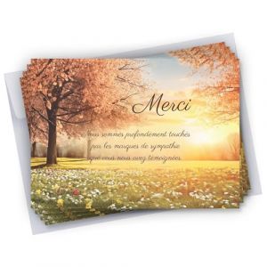 Cadeau Parfait Lot de 50 Cartes de remerciements d&eacute;c&egrave;s Arbre 10x15 cm