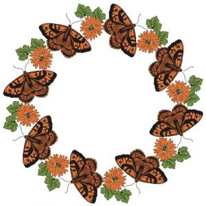 Sizzix Ensemble de 13 tampons transparents Nature Butterflies par Lisa Jones