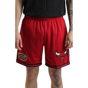 Mitchell & ness Short en maille logo Chicago Bulls