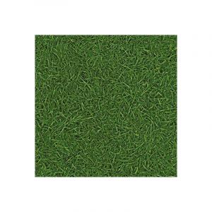 Décoweb Sol Vinyle Nature - imitation Gazon - Rouleau de 2m x 2m