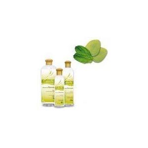 Camylle Brume de Hammam eucalyptus/menthe 250 ml pour hammam