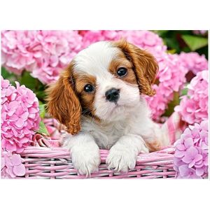 Castorland Pup in Punk Flowers - Puzzle 180 pièces