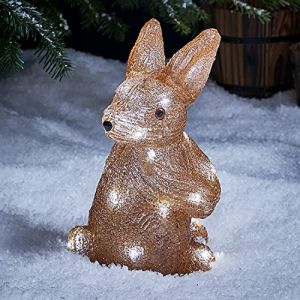 Lights4Fun Déco Lumineuse Lapin de Noël en Acrylique à 20 LED Blanches à Piles pour Extérieur