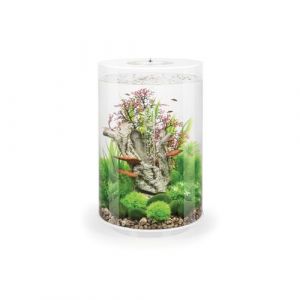 Oase Aquarium décoratif 30l blanc - Tube 30 MCR white