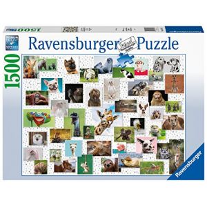 Ravensburger 16711, Puzzle