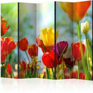 Artgeist Paravent 5 Volets "Spring Tulips" 172x225cm