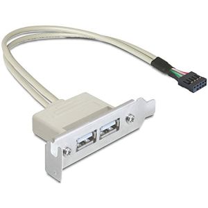 Delock 83119 - Bracket Slot 2 ports USB 2.0 50cm
