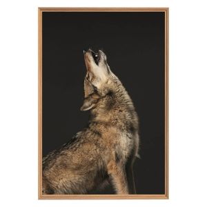 Ceanothe Tableau mural encadr&eacute; loup hurlant 65x97 cm