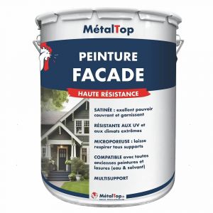 Peinture Facade - Blanc perle - RAL 1013 - Pot 1L