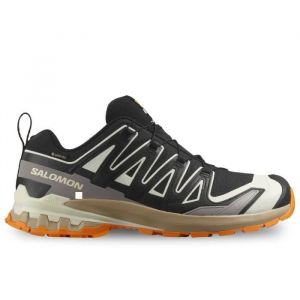Salomon XA Pro 3D v9 GTX - homme - noir