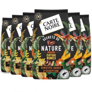 Carte Noire Café Grain Secrets de Nature - Catuai Romex - Certifié Rainforest Alliance - Paquet de 6 kg