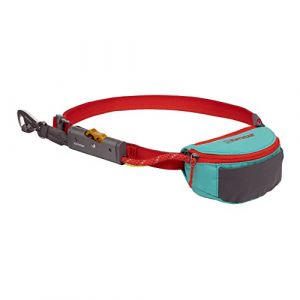 Image de Ruffwear Laisse pour Chien, Sangle Portable escamotable, Réglable, Portée ou à la Main avec Sac de Transport, Bleu Sarcelle