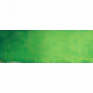 Rembrandt Aquarelle extra-fine - 1/2 godet - Vert de vessie