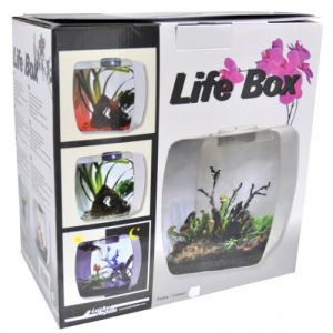 Image de Lucky Reptile Life Box Terrarium design