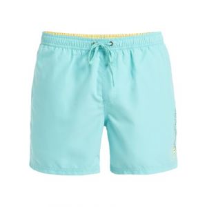 Quiksilver Short de bain homme spl fineline 15