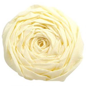 Clairefontaine 903002C - Paquet de 10 feuilles de papier cr&eacute;pon 60% Festif, 40 g/m&sup2;, 2,50m x 0,50m, coloris ivoire