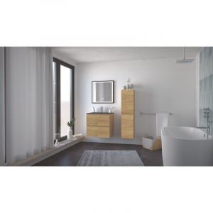 Meuble salle de bain TRENDY - 60 cm - Bois - 2 Tiroirs - Plan noir + miroir SELENA