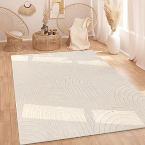 Tapis Salon Chambre Adulte Poil Long Shaggy Scandinave Boho Arc-en-ciel Cr&egrave;me 80x150 cm - Paco Home