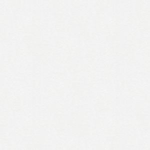 248817 Meistervlies Protect AS Creation