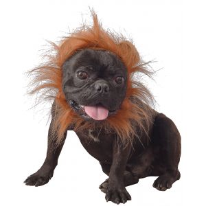 D&eacute;guisement lion pour chien Orange