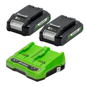 Greenworks Kit de démarrage 24V GSK24B2X avec 2 batteries 2Ah et un chargeur universel (Li-Ion 24V 2Ah Sortie 48W/2A adapté à tous les outils et batteries des séries 24V et 2x24V