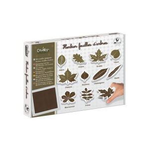 Crea Lign' Kit outils tampons Herbier, feuilles d'arbres