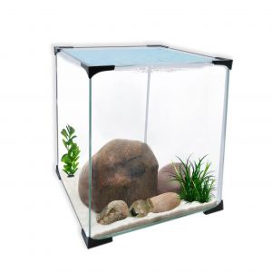Aquavie Cuve cube pour aquarium + couvercle 18,75 L