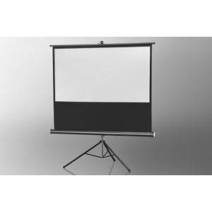 Image de Celexon Economy 219 x 123 cm - Ecran de projection sur pied 16:9