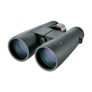Kowa Prominar BD 10X56 XD - Jumelles