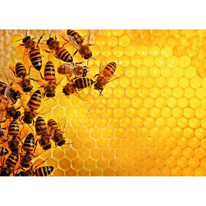 Ravensburger Puzzle 1000 p - la ruche aux abeilles (challenge puzzle)