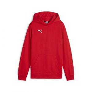 Puma Sweat à Capuche Teamgoal Casuals Jr pour garçon