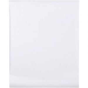 VidaXL Film Pour Fenêtre Dépoli Design À Rayures 45x500 Cm Pvc