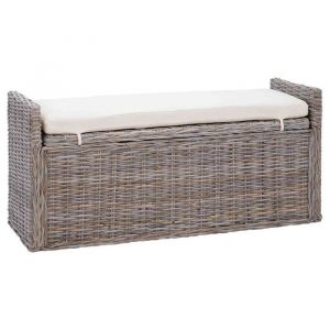 VidaXL Banc de rangement avec coussin Gris 110 x 40 x 50 cm Rotin