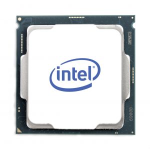 Intel XEON E-2334 SKTLGA1200 Plateau de Cache 8 Mo 3,40 GHz