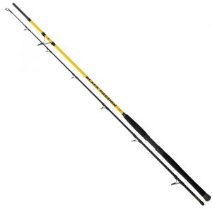 Black Cat Canne spinning Passion G2 Spin C.W
