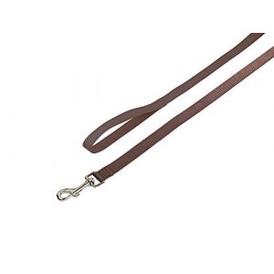 Nobby Laisse chien nylon classic brun 16mmx120cm - VADIGRAN