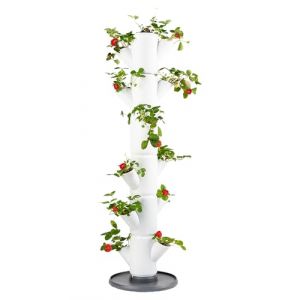 Image de Gusta Garden - Sissy Strawberry - Plants de fraises - Sac de fraises - Bac de culture - Table de culture - Tour de plantes avec 6 niveaux - Blanc