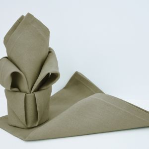 Calitex Lot de 12 Serviettes de Table UNIKAKILOT 12 SERV 44x44 cm, kaki
