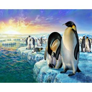 Peinture au num&eacute;ro : Pingouins sur la banquise - sans ch&acirc;ssis en bois