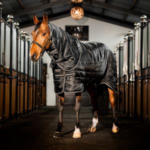 Couverture d'&eacute;curie pour poney avec couvre-cou Horseware Easy-Layer 400g