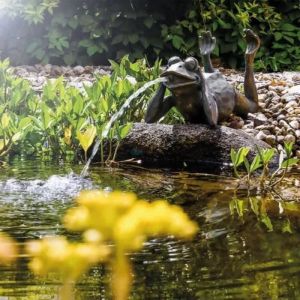 Solairepratique - Fontaine solaire Grenouille paresseuse 600 l/h maxi
