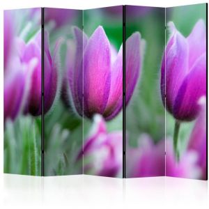 Artgeist Paravent 5 Volets "Purple Spring Tulips" 172x225cm