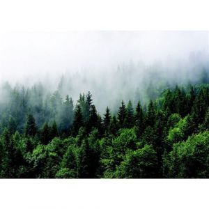 AG ART Poster intissé foret brouillard - 155 x 110 cm