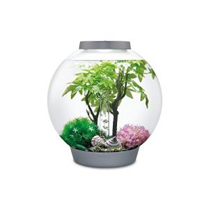 Image de Biorb Oase 55029 Décoration pour aquarium 30 l