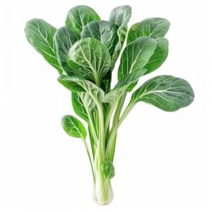 200 Graines de Chou Chinois Tatsoi - l&eacute;gumes ancien - semences paysannes