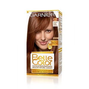 Image de Garnier Belle color coloration 6,35 marron clair ambré